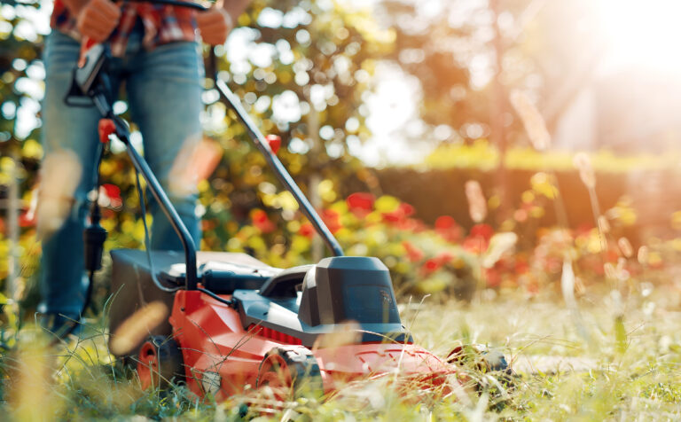 Grass Cutting & Maintenance